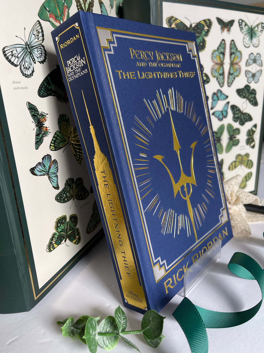 Kids 11+ (The Reader) – Standard Chapter Book – Blind Date With a Book